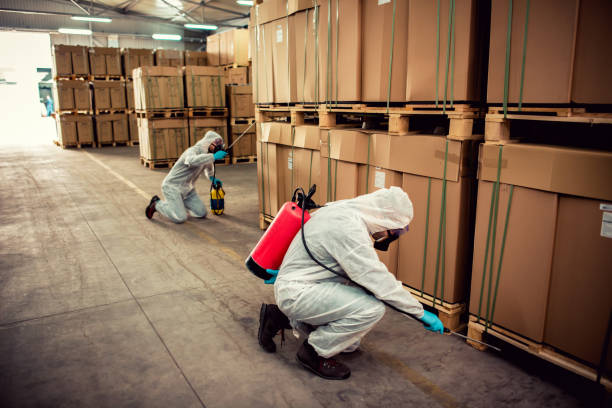 Flea Control Services in Clinton, MS