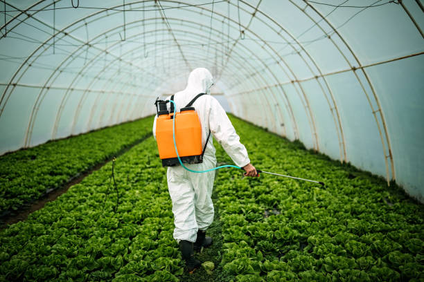 Pest Control for Restaurants in Clinton, MS