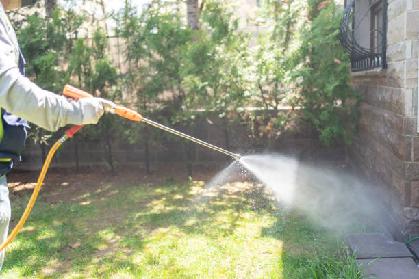 Best Best Pest Control Companies  in Clinton, MS