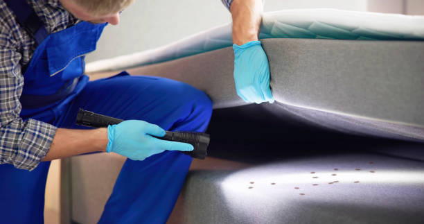 Reliable Clinton, MS Pest Control Solutions