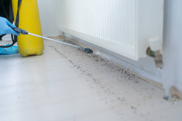 Best Pest Control Near Me  in Clinton, MS