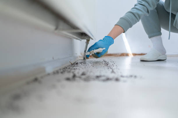 Best Emergency Pest Control  in Clinton, MS