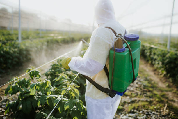 Best Pest Control for Restaurants  in Clinton, MS